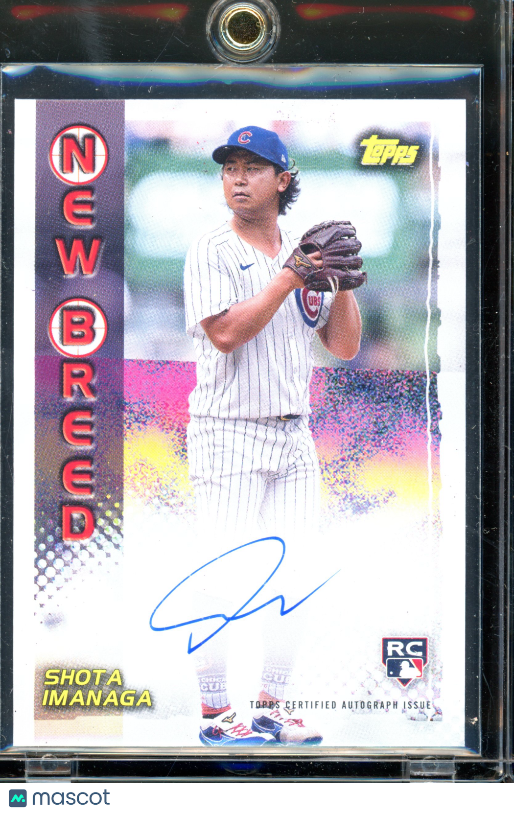 2024 Archives Shota Imanaga New Breed Auto